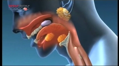 La digestion et les excréments