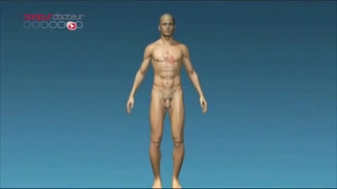 Coeur, infarctus et massage cardiaque