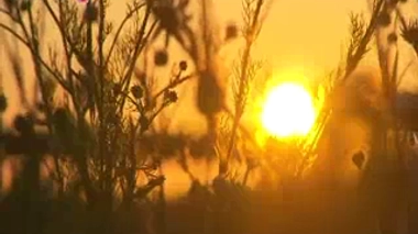 Le travail en horaires décalés nuit au cerveau