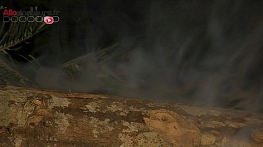 63 cas d'intoxication concernant 196 personnes ont déjà été signalés du 1er septembre au 10 octobre 2017.