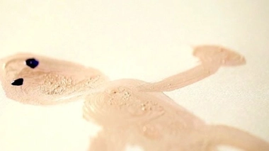 Maltraitance des enfants : un guide pour la signaler