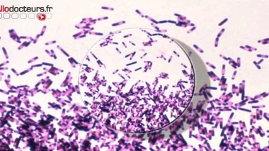 La résistance aux antibiotiques continue de progresser