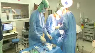 Des cellules souches dans les dents de sagesse