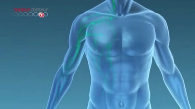 Les défenses immunitaires