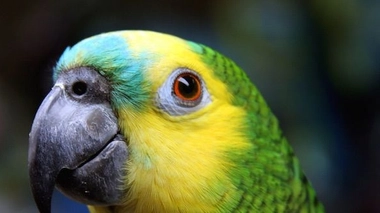 ...et les journalistes reproduisent souvent les communiqués sans recouper les informations ou retourner à la source de l'étude (cc-by-sa Matthew Watts)