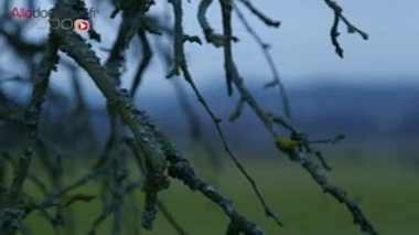 Article de Florian Gouthière du 31 décembre 2014. Vidéo : "peut-on préparer son corps à l'hiver ?", sujet du Magazine de la Santé diffusé le 22 septembre 2015.