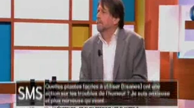 Ménopause : quelles plantes utiliser en cas de troubles de l'humeur ?