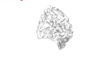 Jouez pour faire avancer la recherche sur le cerveau