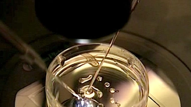 Pourquoi la France manque-t-elle de donneuses d'ovocytes ?