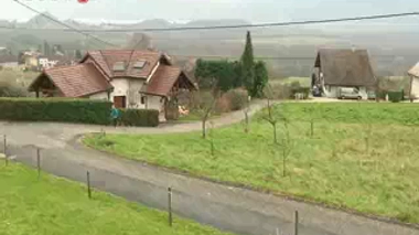 La spiruline : l'algue aux mille vertus ?