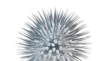 Sida : une molécule anti-infection mise en production au cœur des cellules