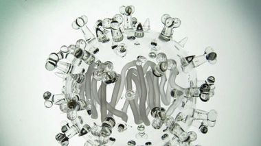 Ces sculptures font entre 10 et 30 centimètres de diamètre. Ci-dessus : le SARS-CoV, coronavirus responsable du syndrome respiratoire aigu sévère (SRAS). Crédit photo : Luke Jerram.