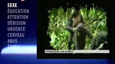 Zapping du 13/03/2015