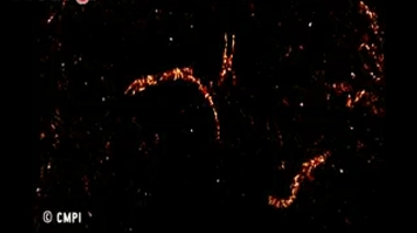 Imagerie : repousser les frontières de l'invisible