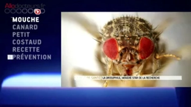 Zapping du 10/04/2015