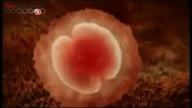 Des quadruplés à 65 ans : quels risques ?