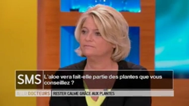 L'aloe vera fait-elle partie des plantes conseillées pour rester calme ?