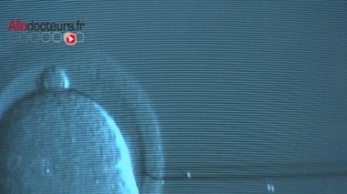 PMA : quand les bébés se font désirer