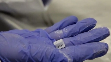 Une section de prothèse de trachée fraîchement imprimée (source : UMHealthSystem)