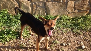 Image d'illustration