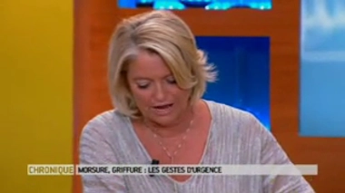 Risque de rage : comment réagir en cas de morsure ?