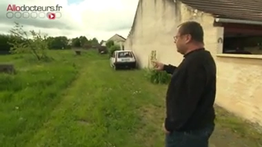 Chenilles processionnaires : l'invasion d'un indésirable urticant