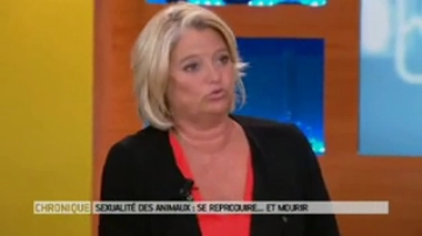 Sexualité des animaux : se reproduire... et mourir