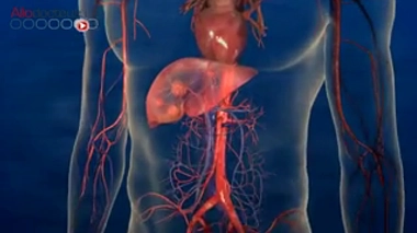 Cancer : une radiothérapie au coeur du foie