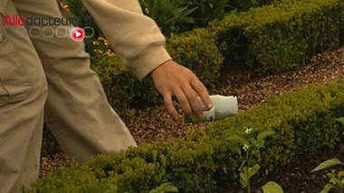 Le Roundup® bientôt banni des jardineries ?