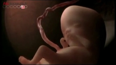  Pulvérisation de DDT dans un champ de pommes de terre en 1955 en Allemagne, près de Leipzig. (Crédits : Krueger - Bundesarchiv, Bild 183-20820-0001 / CC-BY-SA) 