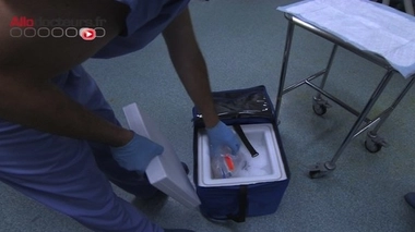 Don d'organes : une appli pour informer ses proches