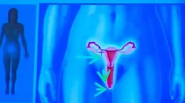 Ch@t : Les petits problèmes gynécos