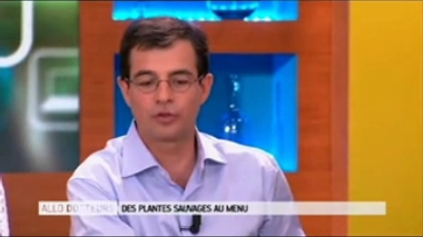Peut-on confondre des plantes toxiques avec des plantes comestibles ?