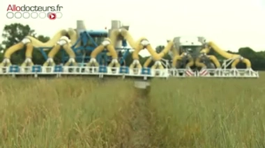 Désensibilisation aux pollens : comment sont fabriqués les médicaments