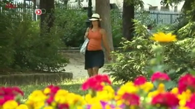 Comment supporter la chaleur quand on est enceinte ?