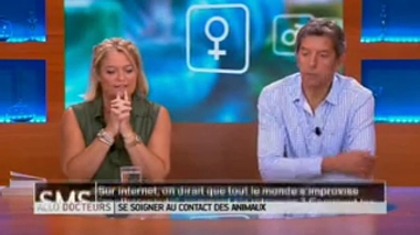 Médiation animale, zoothérapie : comment les professionnels sont-ils formés ?