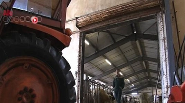 Véhicule d'une multitude de germes, qui fortifient le système immunitaire, la poussière des fermes protège les enfants des allergies respiratoires. 