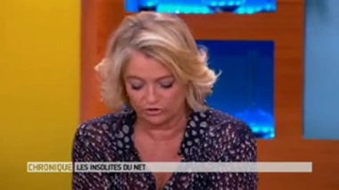 Image provenant du site Soundimals.tumblr.com