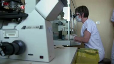 Affiche d'une récente campagne pour le don de gamètes