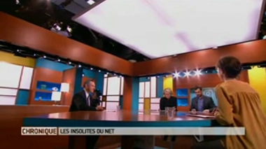 Insolites du Net : un premier pas vers la modélisation du cerveau humain