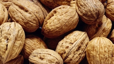 La noix, un fruit de saison