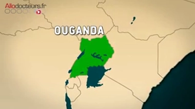 Le moustique de genre Culex est vecteur du virus du Nil occidental.