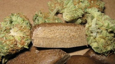 Cannabis en herbe et en résine