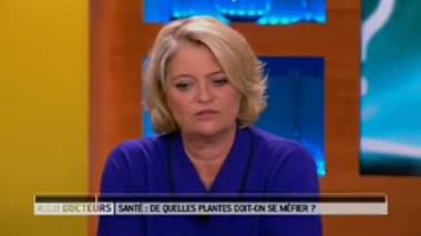 Plantes toxiques : la berce peut-elle provoquer des brûlures ?