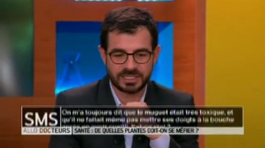 Les baies de lierre et le muguet sont-ils toxiques ?