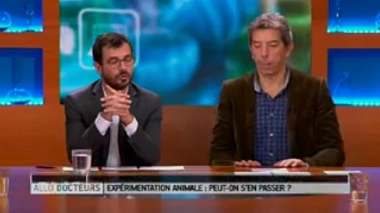 Quels sont les parfaits cobayes pour les expériences en neurosciences ?