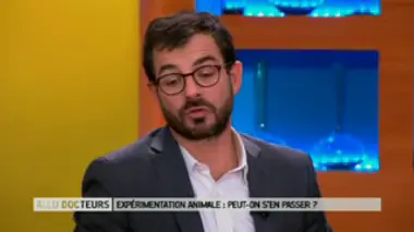 Expérimentation animale : la France respecte-t-elle les réglementations ?