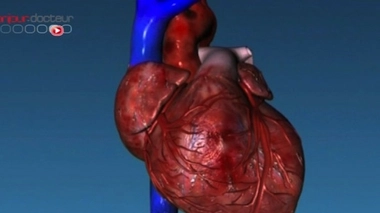 Infarctus : un risque 8 fois plus élevé chez les fumeurs de moins de 50 ans