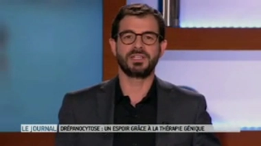 Cellules sanguines normales avoisinant une cellule falciforme, observation par microscopie électronique. (cc-by-sa OpenStax College) - Vidéo : entretien avec Marina Cavazzana, hémobiologiste