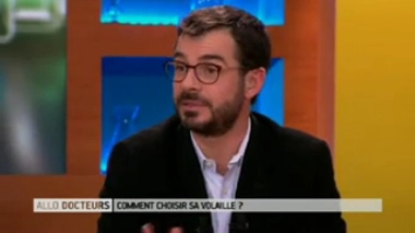 Les volailles bio sont-elles garanties sans antibiotiques ?